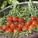 Gastronomy Kritsa פורטאריה