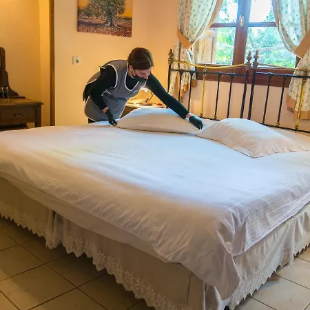 Hotel Gastronomy Kritsa 3*
