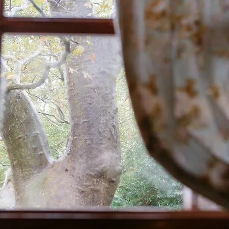 Gastronomy Kritsa Portaria (Magnesia)