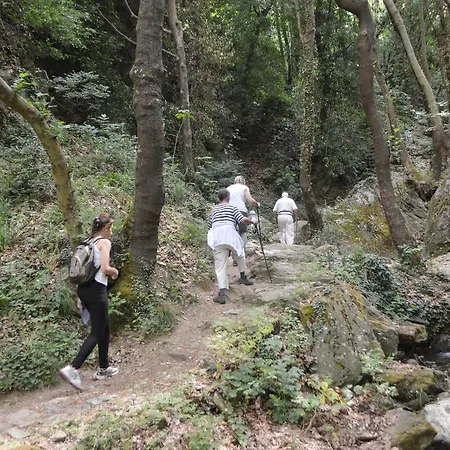 Gastronomy Kritsa Hotel Portaria (Magnesia)