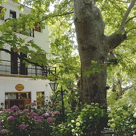 Szálloda Gastronomy Kritsa 3*