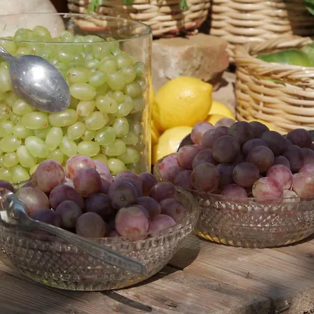 Gastronomy Kritsa Hotel 3*