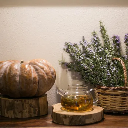 Gastronomy Kritsa Hotel Portaria (Magnesia)